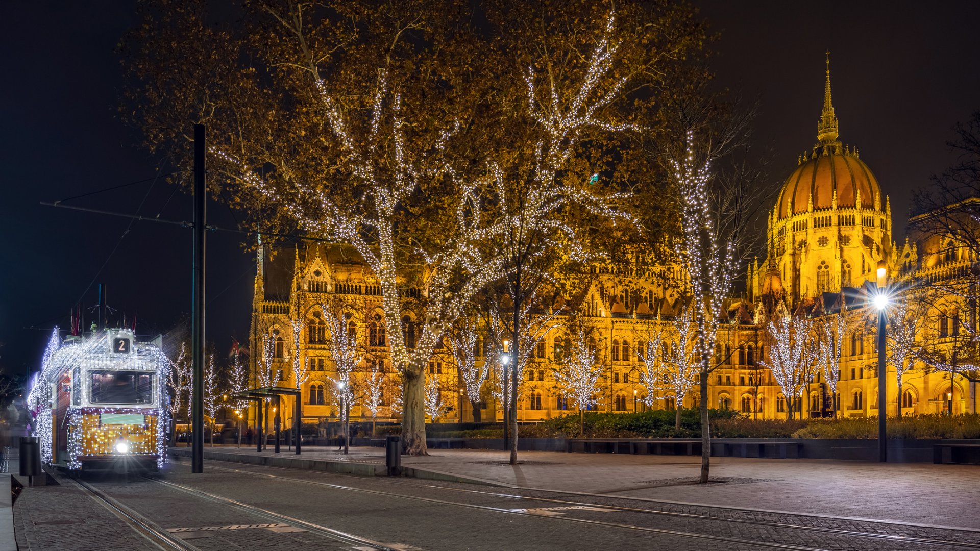 Experience for Christmas: 5 gift ideas to make the holidays memorable