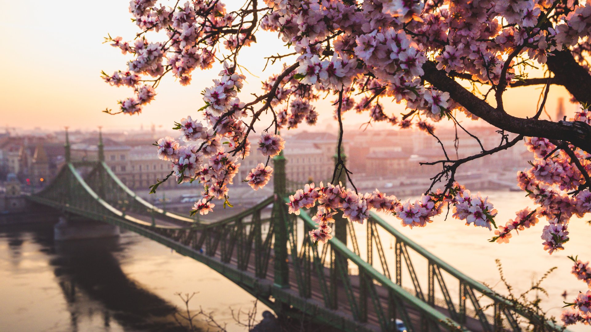 5 tavaszi látványosság Budapesten, amit nem szabad kihagyni