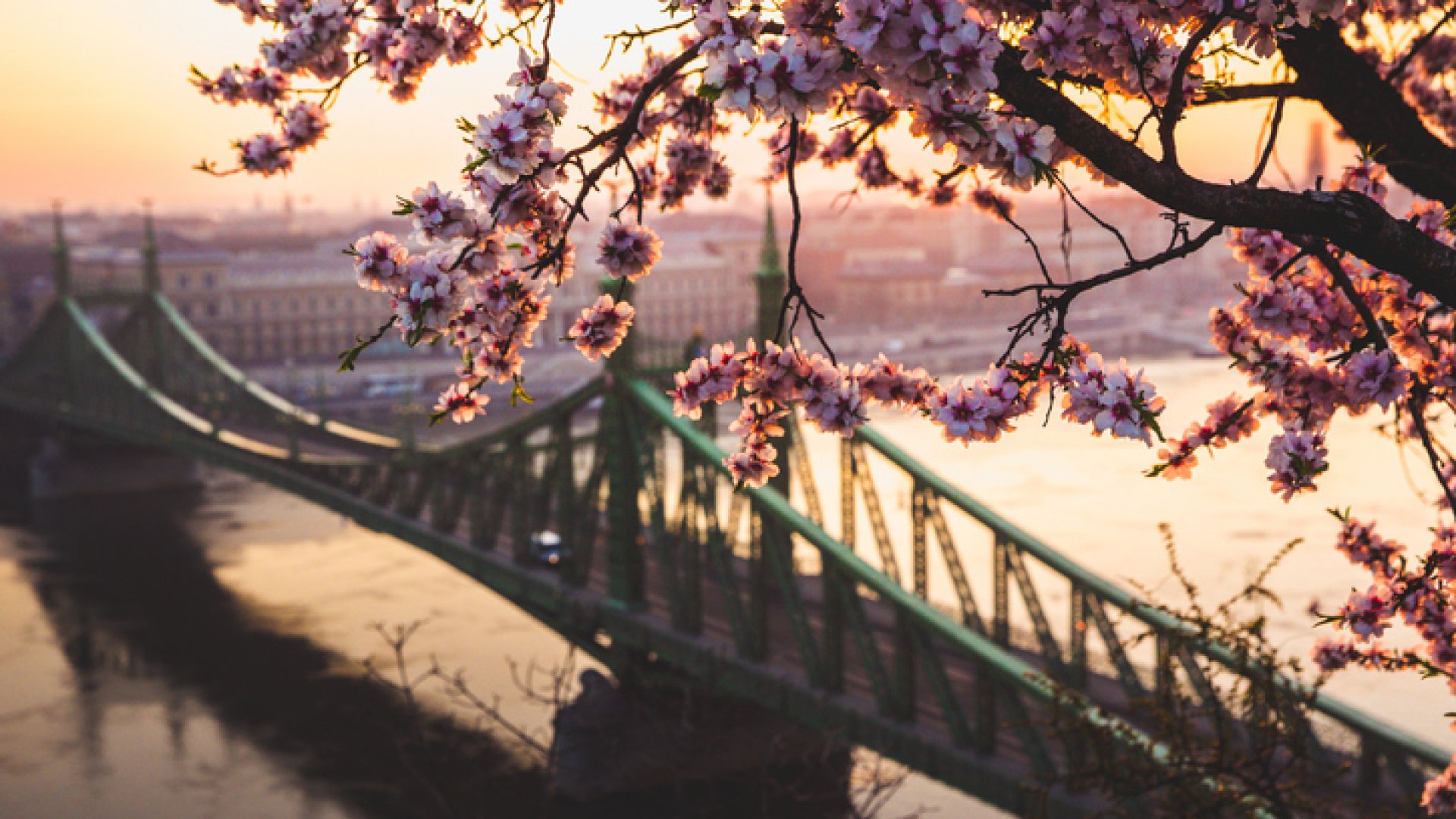 4 Must-See Spring Spots in Budapest